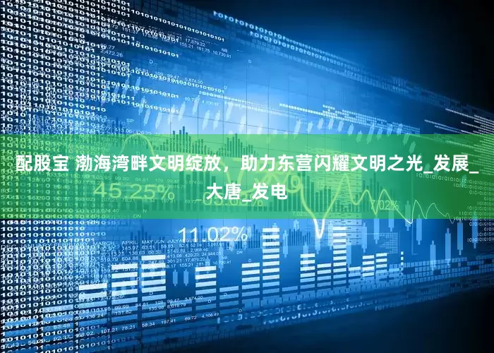 配股宝 渤海湾畔文明绽放，助力东营闪耀文明之光_发展_大唐_发电