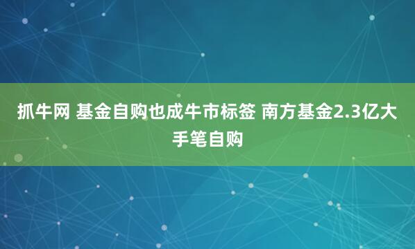 抓牛网 基金自购也成牛市标签 南方基金2.3亿大手笔自购