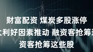 财富配资 煤炭多股涨停！三大利好因素推动 融资客抢筹这些股