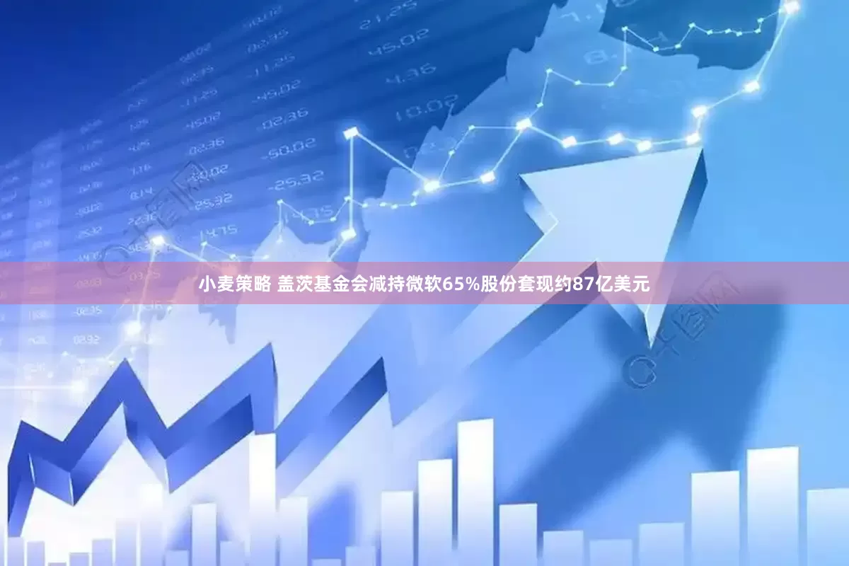 小麦策略 盖茨基金会减持微软65%股份套现约87亿美元